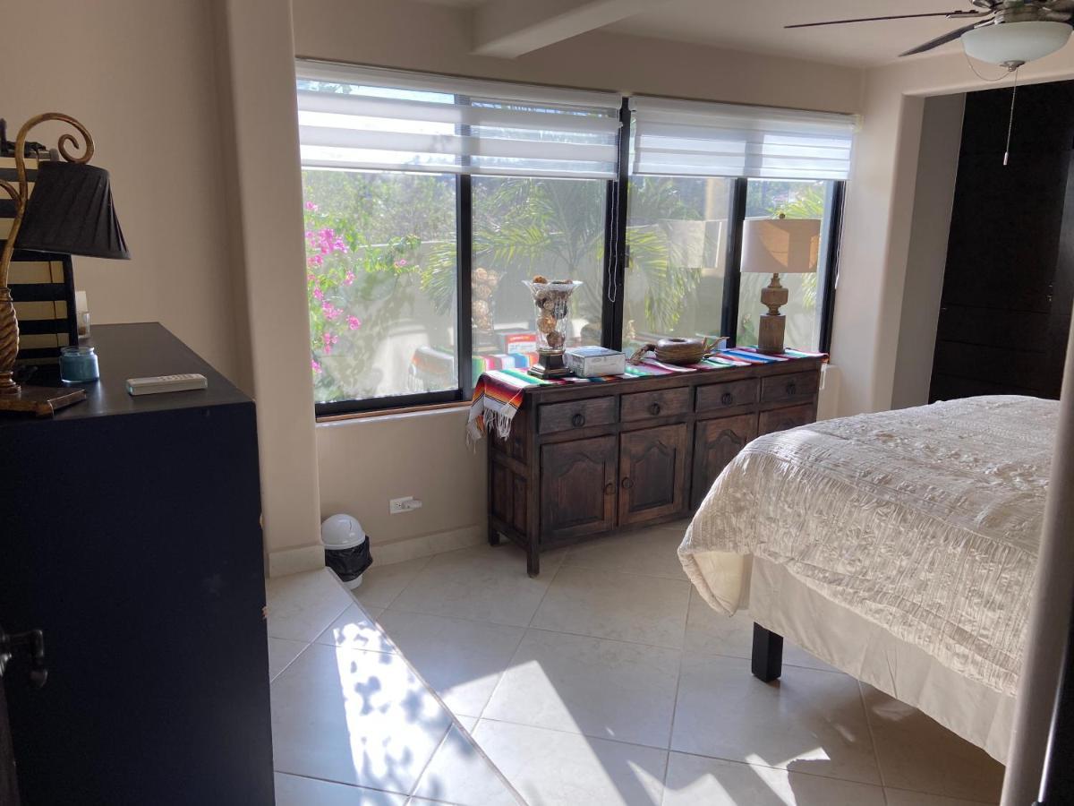 Spectacular Vacation Home Ocean View Walk To Beach 卡波圣卢卡斯 外观 照片