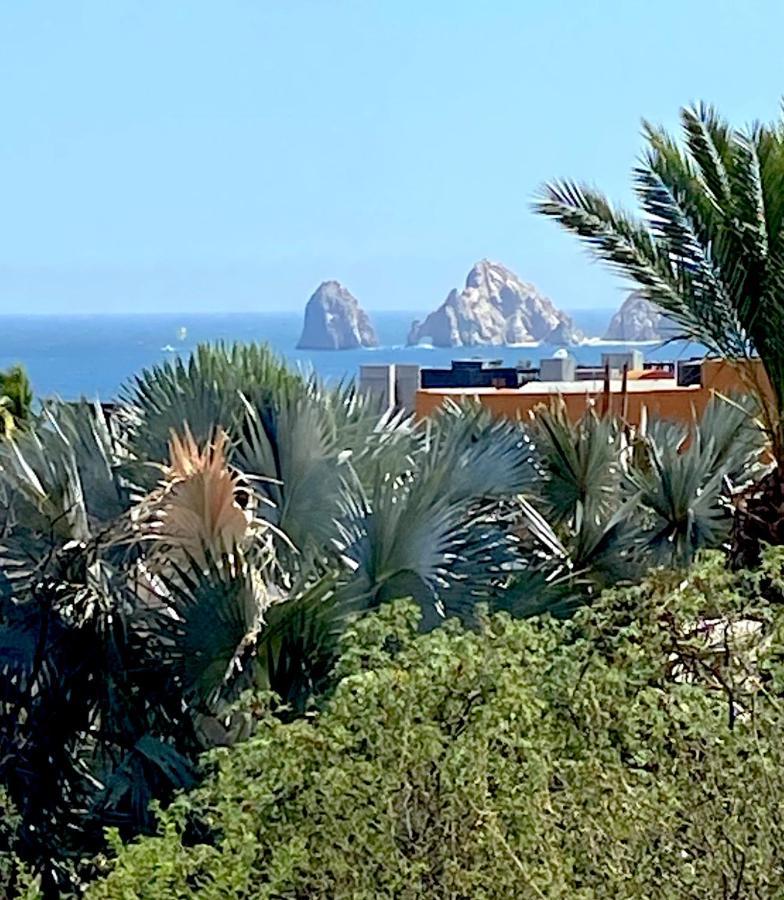 Spectacular Vacation Home Ocean View Walk To Beach 卡波圣卢卡斯 外观 照片