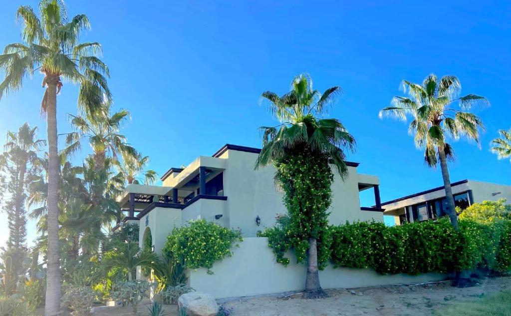 Spectacular Vacation Home Ocean View Walk To Beach 卡波圣卢卡斯 外观 照片