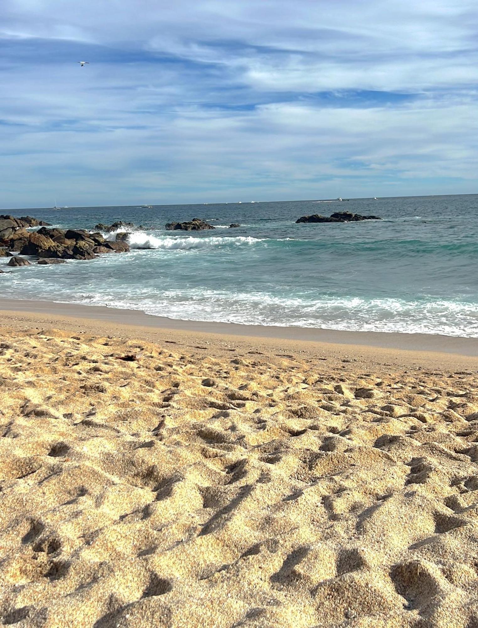Spectacular Vacation Home Ocean View Walk To Beach 卡波圣卢卡斯 外观 照片